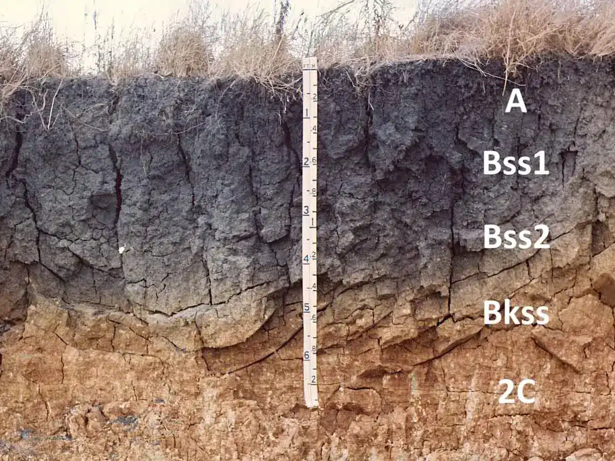 Battling Vertisol Clay From Our McCallum Blvd Hub
