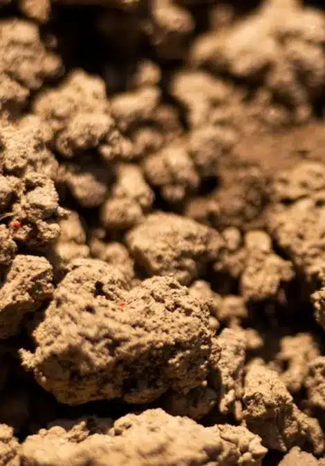 Chemically Altering the Native Clay