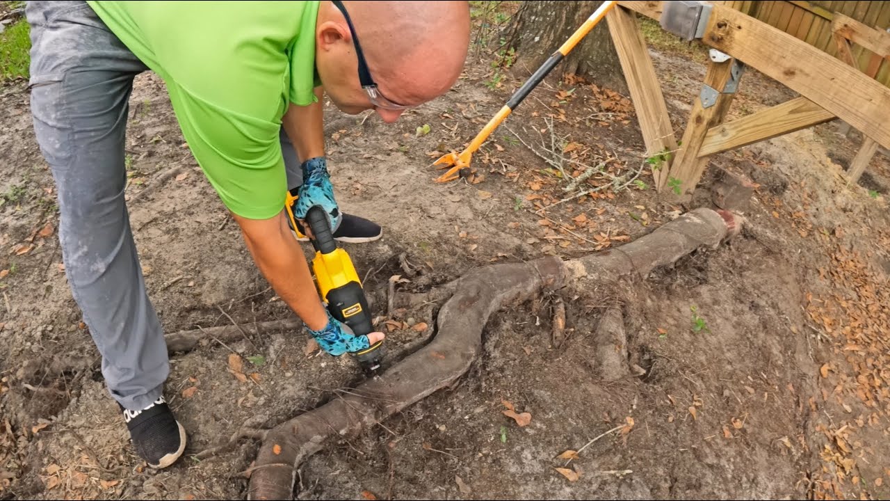 Step Two is Heavy Demolition and Root Pruning.